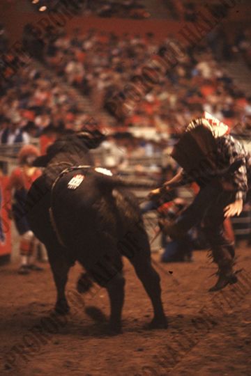 Bull Riding