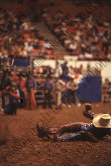 Bull Riding