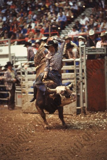 Ricky Bolin Bull Riding