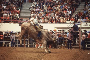 John Davis Bull Riding