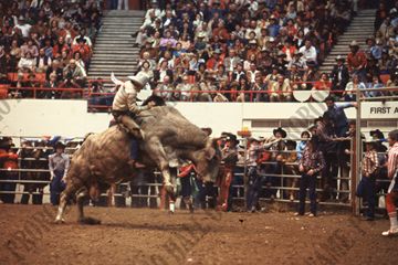 John Davis Bull Riding