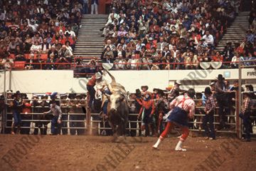 John Davis Bull Riding