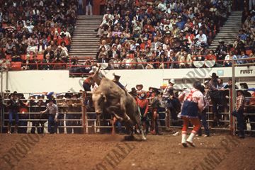 John Davis Bull Riding