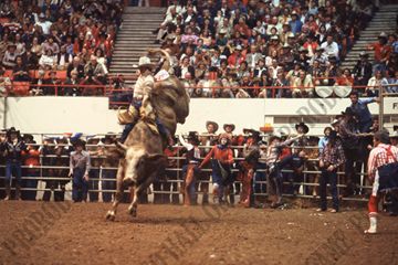 John Davis Bull Riding