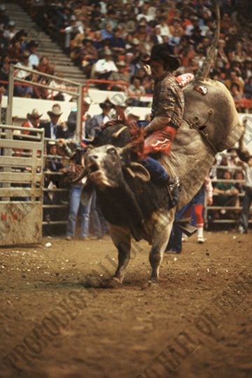 Ken Henry Bull Riding