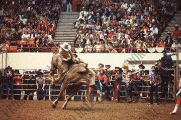 John Davis Bull Riding