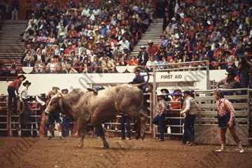John Davis Bull Riding