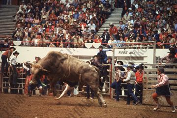 John Davis Bull Riding