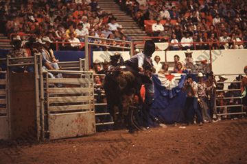 Denny Flynn on Bull #101J (Rafter H)
