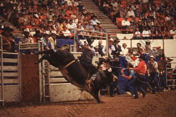 Denny Flynn on Bull #101J (Rafter H)