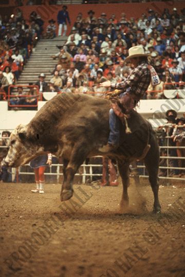 Wacey Cathey on Top Hand (Bob Aber)
