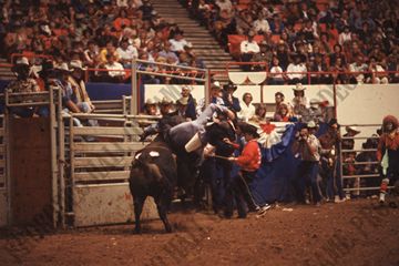 Denny Flynn on Bull #101J (Rafter H)