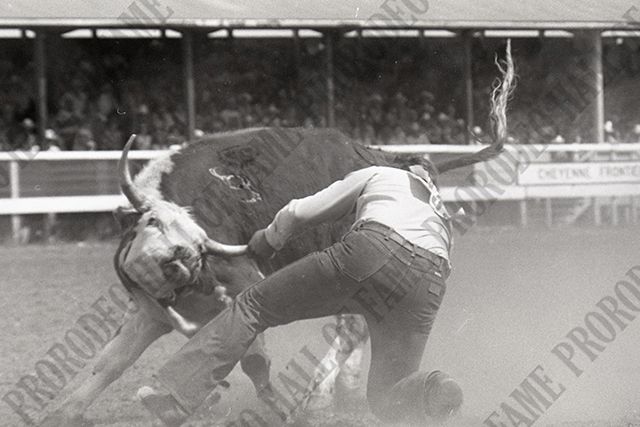 Steer Wrestling