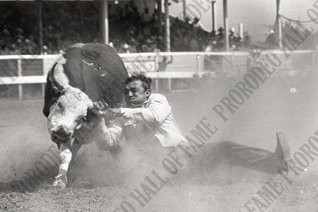 Steer Wrestling