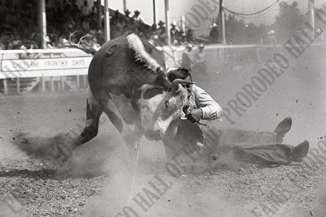 Steer Wrestling