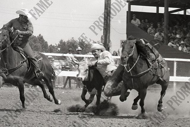 Steer Wrestling