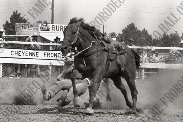 Steer Wrestling