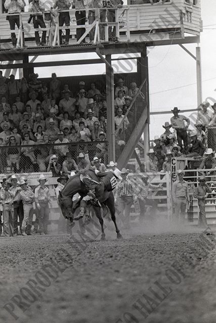 Monty Carson Bareback Riding