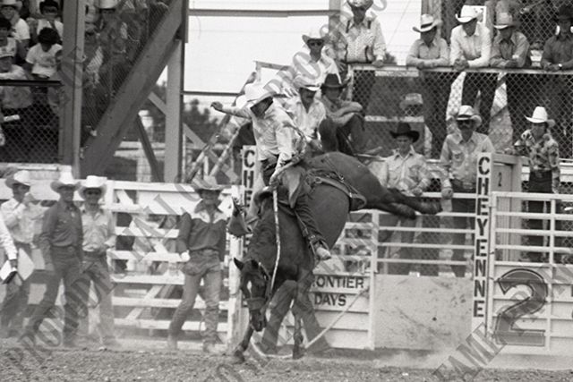 Saddle Bronc Riding
