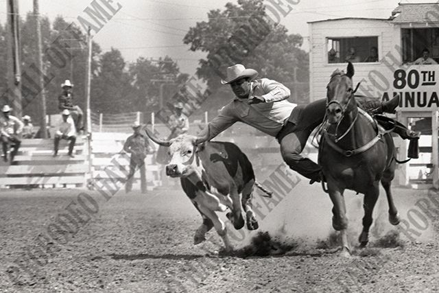 Steer Wrestling