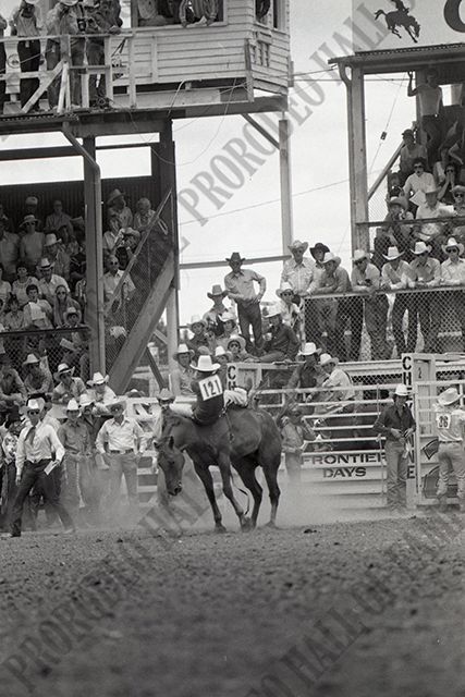 Monty Carson Bareback Riding