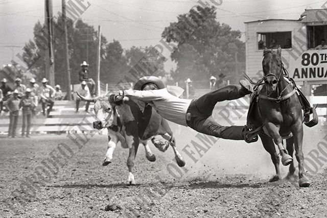Steer Wrestling