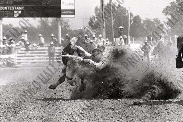 Steer Wrestling