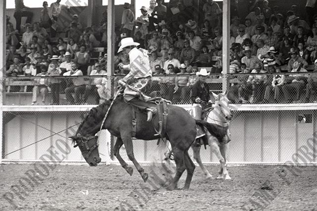 Saddle Bronc Riding