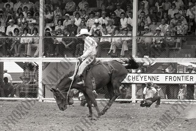 Saddle Bronc Riding