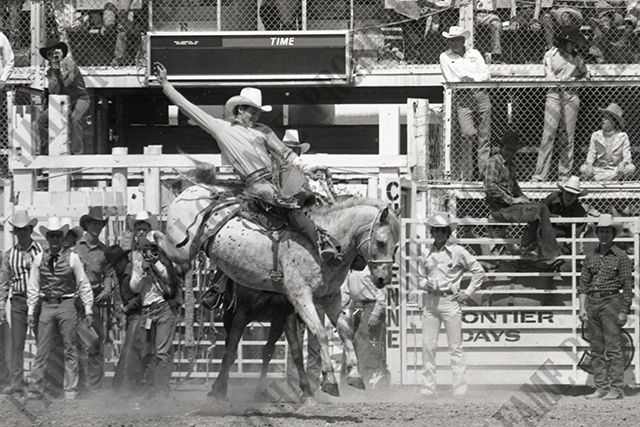 Saddle Bronc Riding