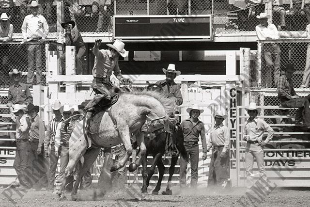 Saddle Bronc Riding