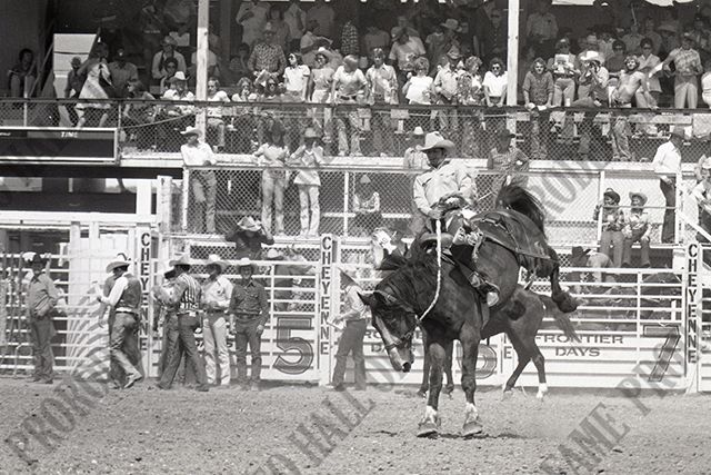 Saddle Bronc Riding