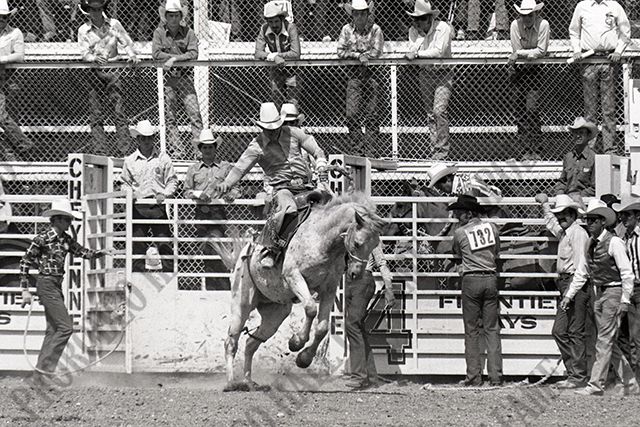 Saddle Bronc Riding
