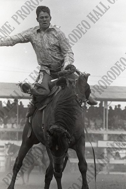Saddle Bronc Riding