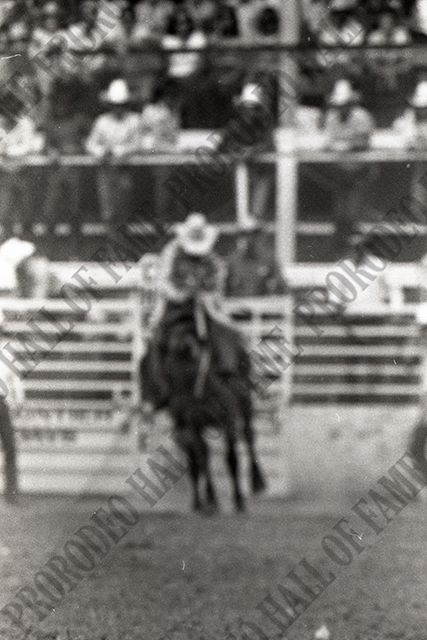Saddle Bronc Riding