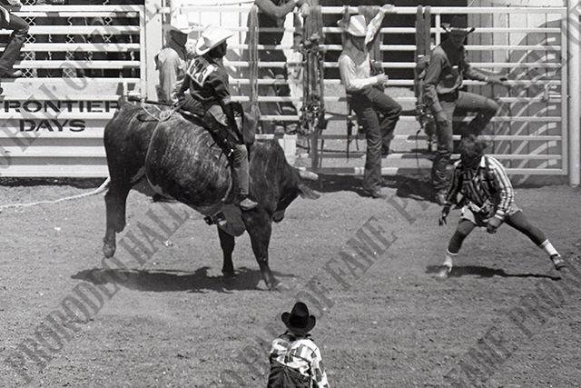 Steve Shepard Bull Riding