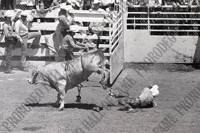 Bull Riding
