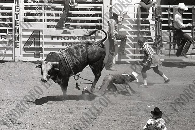 Steve Shepard Bull Riding