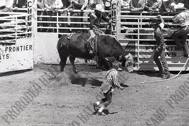 Bull Riding