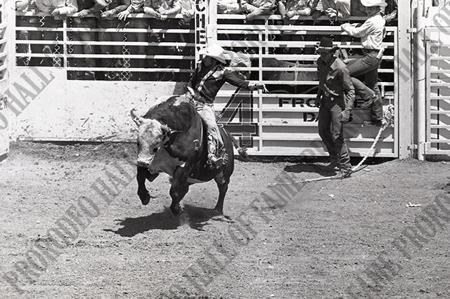 Bull Riding