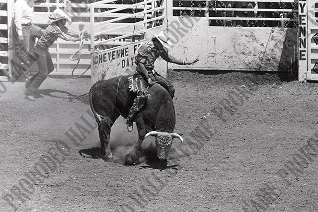 Bull Riding