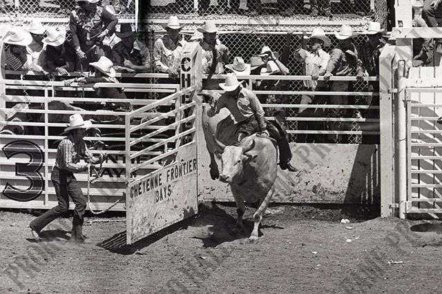 Bull Riding