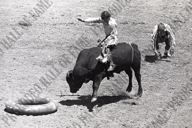 Bull Riding