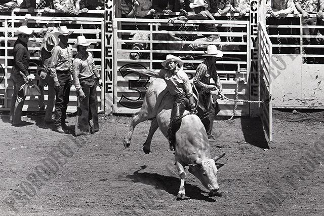 Bull Riding