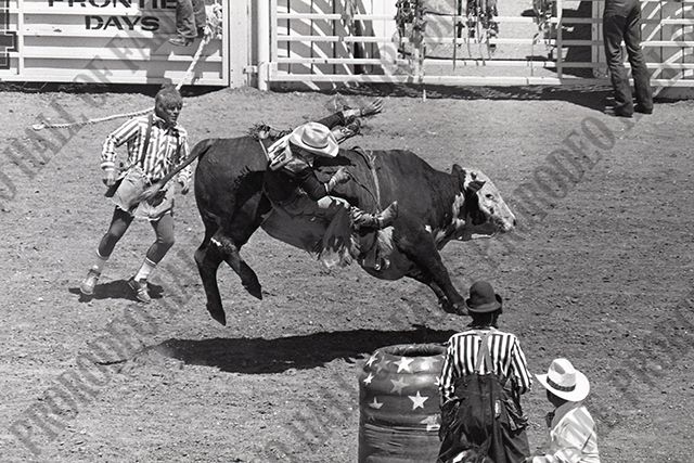Bull Riding