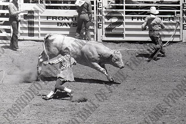 Bull Riding