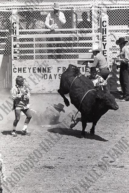 Bull Riding