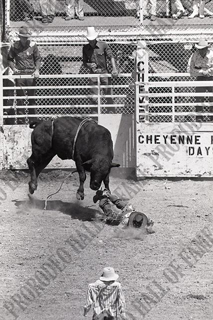 Bull Riding
