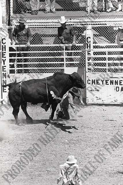 Bull Riding