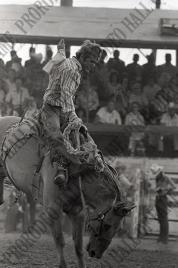 Saddle Bronc Riding